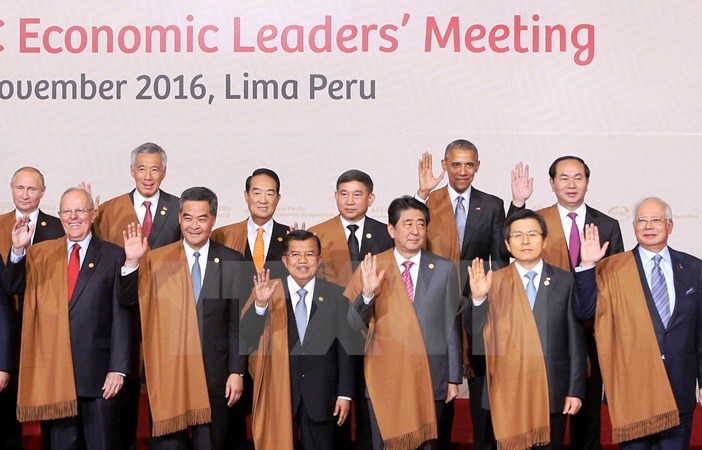 Việt Nam sẽ trở thành mắt xích quan trọng trong mạng lưới APEC - Ảnh 1