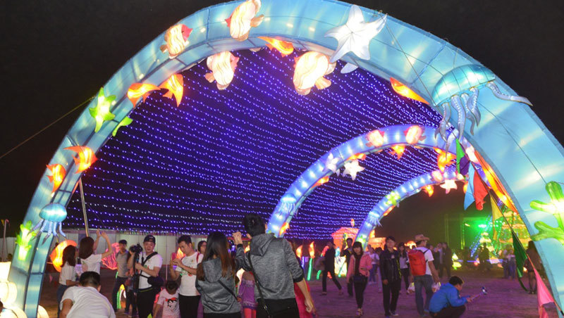 Rực rỡ lễ hội đèn lồng khổng lồ Việt Nam - Hàn Quốc 2016 - Ảnh 10