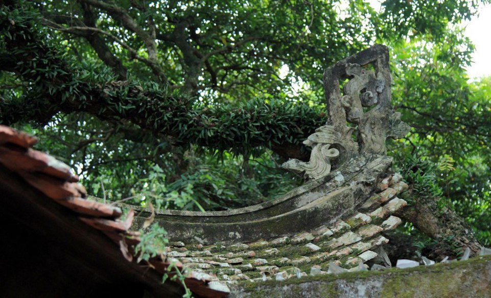 Vẻ đẹp uy nghiêm của ngôi đền thờ Phùng Hưng lớn nhất Việt Nam - Ảnh 2