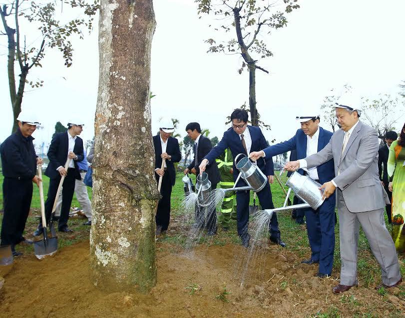 Năm 2017, Hà Nội phấn đấu trồng hơn 430 nghìn cây các loại - Ảnh 6