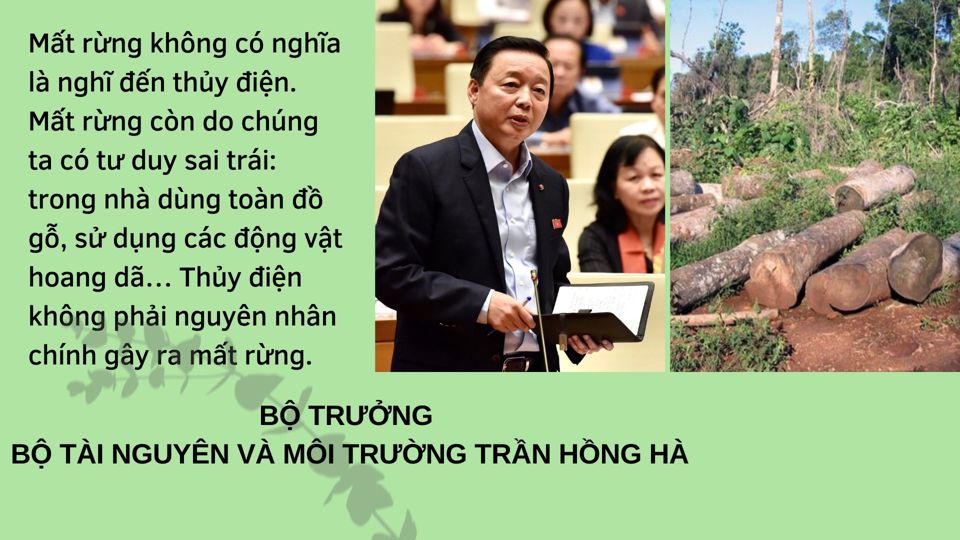 Bộ trưởng Bộ Tài nguyên và Môi trường Trần Hồng Hà: "Tôi nghĩ rừng còn quan trọng hơn cả trời" - Ảnh 1