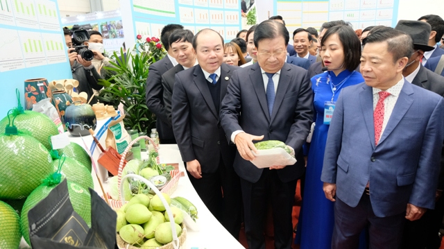 Phó Thủ tướng Trịnh Đình Dũng cắt băng khai mạc triển lãm thành tựu phát triển kinh tế tập thể, hợp tác xã giai đoạn 2016 - 2020 - Ảnh 3