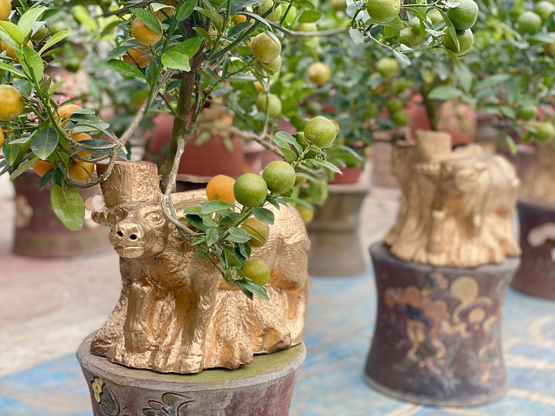Trâu vàng cõng quất bonsai sẵn sàng cho dịp Tết Tân Sửu 2021 - Ảnh 9