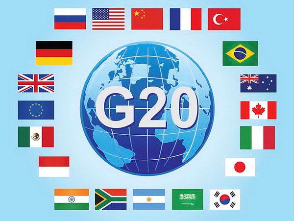 Việt Nam tham dự Hội nghị quan chức cấp cao G20 lần thứ nhất - Ảnh 1