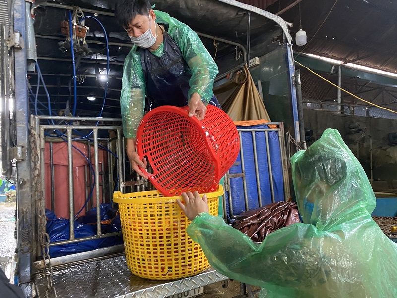[Ảnh] Chợ cá lớn nhất Hà Nội tấp nập buôn bán trước ngày ông Công ông Táo - Ảnh 2