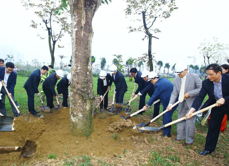 Năm 2017, Hà Nội phấn đấu trồng hơn 430 nghìn cây các loại - Ảnh 5