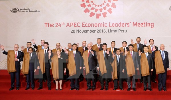 Các thành viên APEC đặt kỳ vọng vào Năm APEC 2017 ở Việt Nam - Ảnh 1