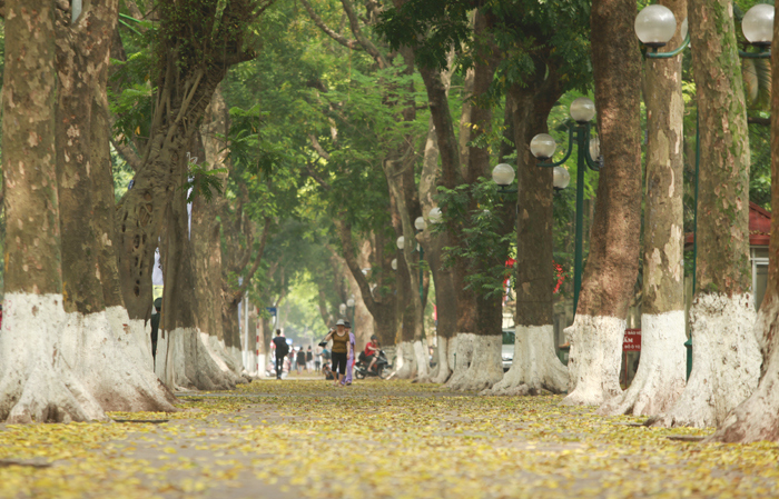 Những tuyến phố có vỉa hè đẹp ở Hà Nội - Ảnh 6