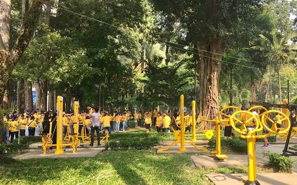 TP Hồ Chí Minh dự kiến hoàn thành thêm 7 công viên trong năm 2021 - Ảnh 1