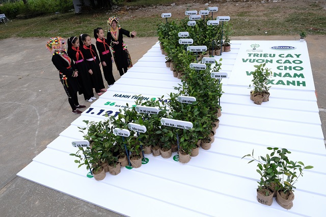 Vinamilk hoàn thành mục tiêu trồng hơn 1,1 triệu cây xanh cho Việt Nam trong năm 2020 - Ảnh 4