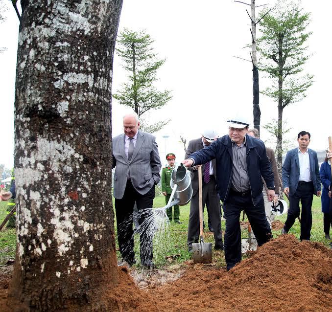 Năm 2017, Hà Nội phấn đấu trồng hơn 430 nghìn cây các loại - Ảnh 4
