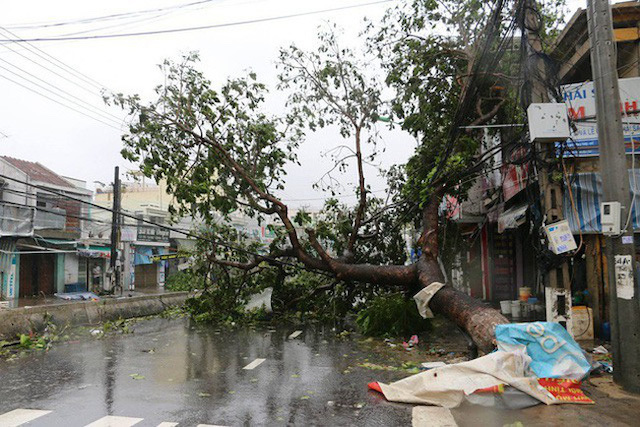Gia tăng thiệt hại do bão số 12: 4 người chết và mất tích, gần 400 nhà dân hư hỏng - Ảnh 1