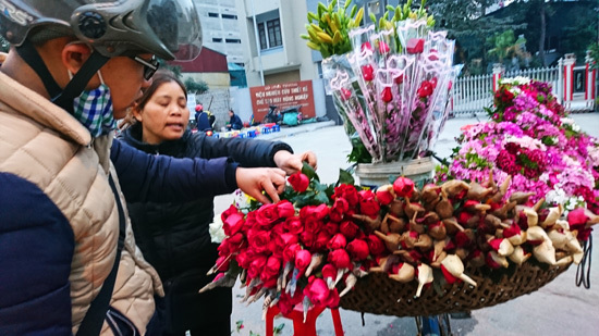 Hoa hồng tăng giá đột biến trước ngày Lễ Tình nhân - Ảnh 1