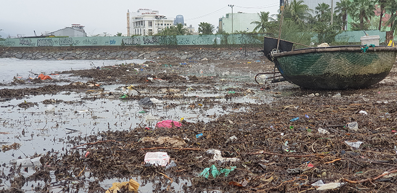 Ảnh: Lượng rác khổng lồ tấp vào bãi biển Đà Nẵng sau bão Vamco - Ảnh 4