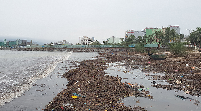 Ảnh: Lượng rác khổng lồ tấp vào bãi biển Đà Nẵng sau bão Vamco - Ảnh 3