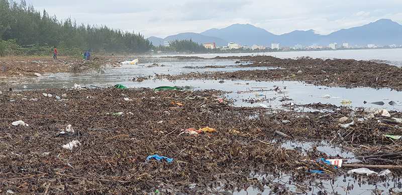 Ảnh: Lượng rác khổng lồ tấp vào bãi biển Đà Nẵng sau bão Vamco - Ảnh 5