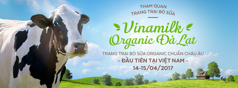 Háo hức với Vinamilk Organic Farm tuor - Ảnh 6