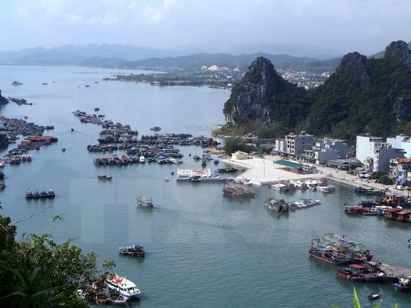 Bồ Đào Nha muốn tăng đầu tư vào hạ tầng kinh tế biển Việt Nam - Ảnh 1