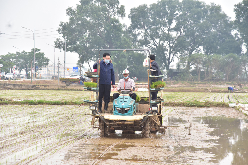 [Ảnh] Bí thư Thành ủy, Chủ tịch UBND TP Hà Nội xuống đồng động viên nông dân sản xuất vụ xuân - Ảnh 2