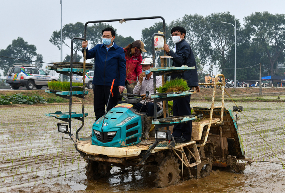 [Ảnh] Bí thư Thành ủy, Chủ tịch UBND TP Hà Nội xuống đồng động viên nông dân sản xuất vụ xuân - Ảnh 1