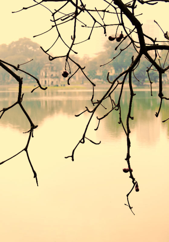 Hồ Gươm đẹp hoài cổ mùa cây trụi lá - Ảnh 8