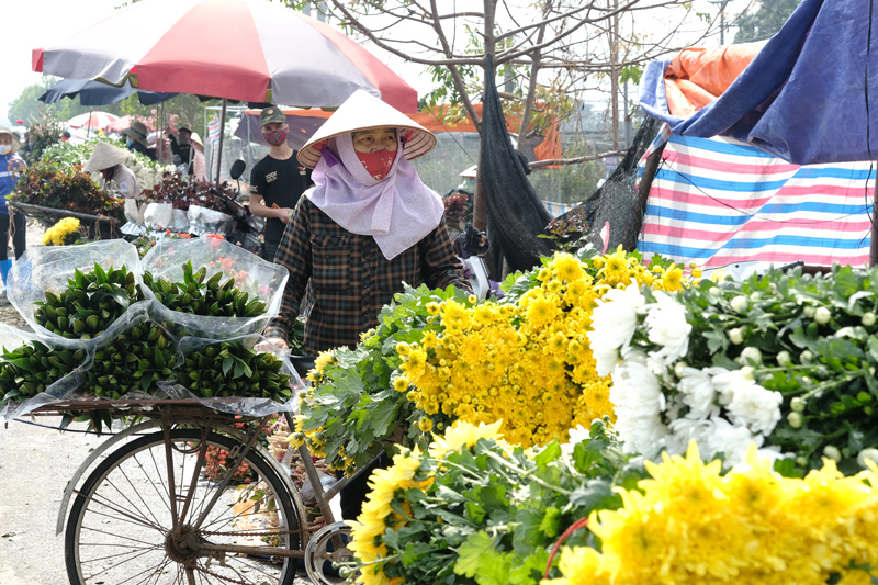 Làng hoa Mê Linh nhộn nhịp trở lại những ngày cận Tết - Ảnh 11