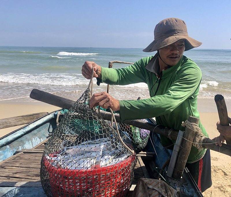 Ngư dân Quảng Nam trúng đậm mùa cá hố - Ảnh 1