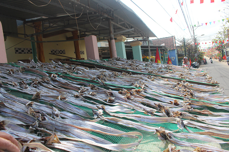 Ngư dân Quảng Nam trúng đậm mùa cá hố - Ảnh 2