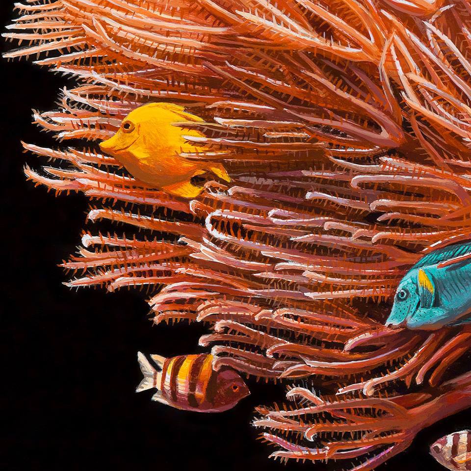 San hô nở hoa trên đuôi một chú cá - Ảnh 10
