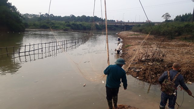 Hàng tấn cá chết bất thường trên sông Tích - Ảnh 6