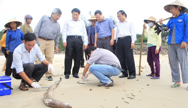 Bộ Tài nguyên và Môi trường kỷ luật cán bộ liên quan đến Formosa - Ảnh 1