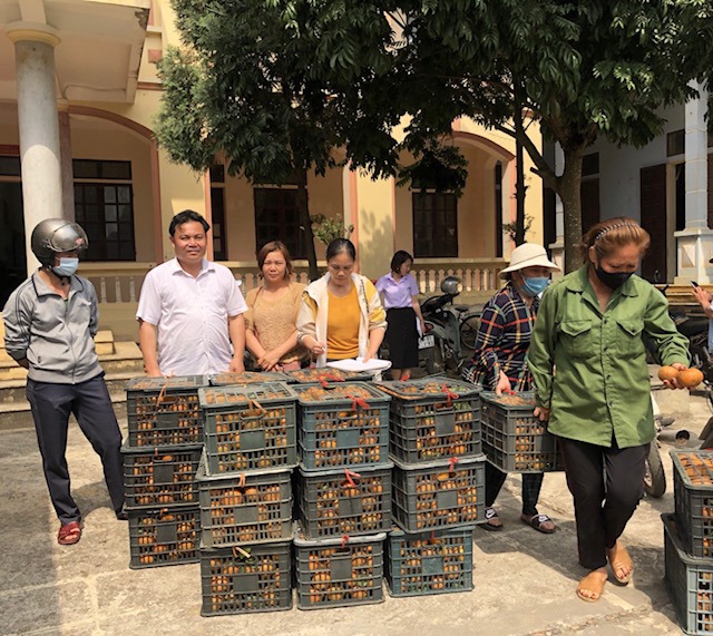 Hội Nông dân Hà Nội hỗ trợ nông dân Hà Giang tiêu thụ hơn 30 tấn cam sành - Ảnh 1