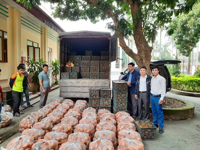 Hội Nông dân Hà Nội hỗ trợ nông dân Hà Giang tiêu thụ hơn 30 tấn cam sành - Ảnh 2