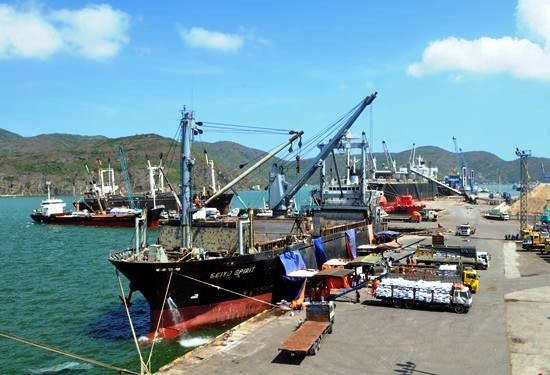 Thanh tra toàn diện việc cổ phần hóa cảng Quy Nhơn - Ảnh 1