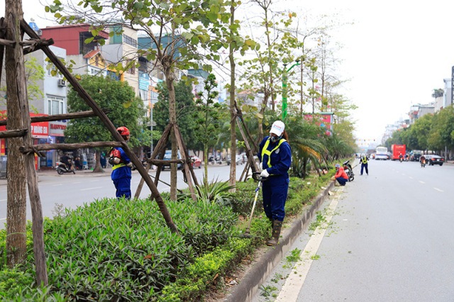 Hà Nội: Chỉnh trang hệ thống cây xanh, thảm cỏ trên nhiều tuyến đường - Ảnh 1