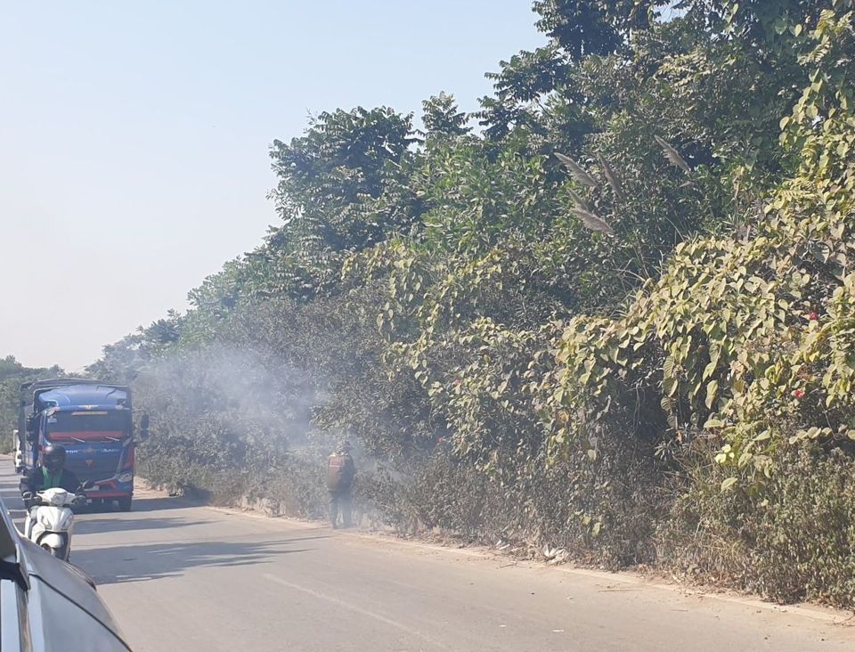 Hà Nội: Báo động hành vi đốt lửa gây cháy thảm cây xanh trên các tuyến đường lớn - Ảnh 1