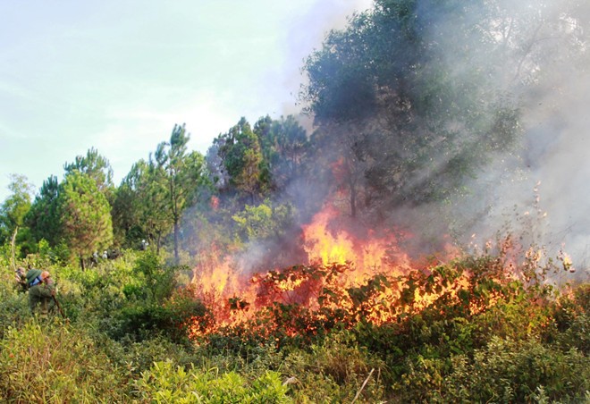Cháy rừng xảy ra ở nhiều nơi - Ảnh 1