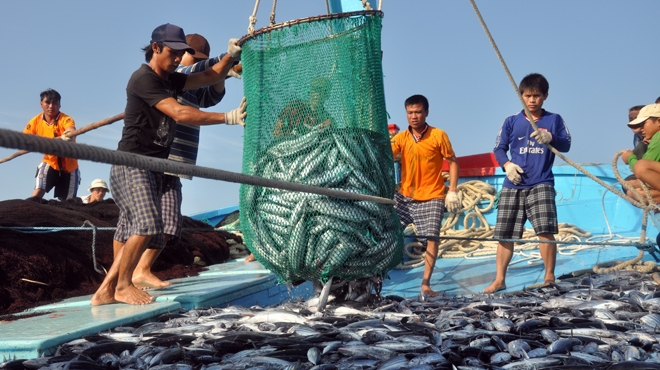 Tháng 6 hoàn thành bồi thường, hỗ trợ thiệt hại cho người dân vùng biển - Ảnh 1