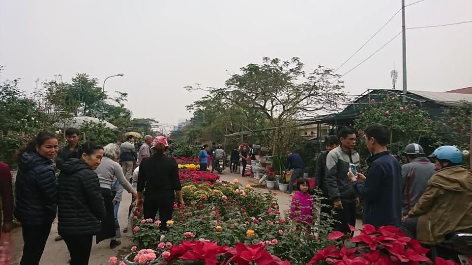 Nhộn nhịp chợ hoa ngày giáp Tết - Ảnh 2