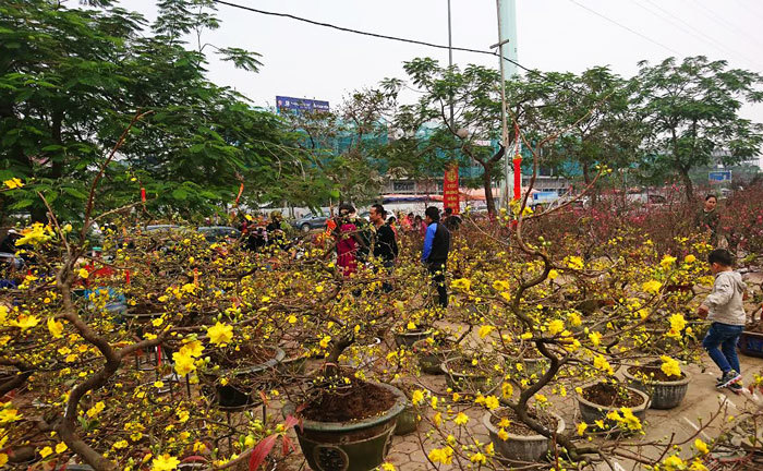 Nhộn nhịp chợ hoa ngày giáp Tết - Ảnh 6