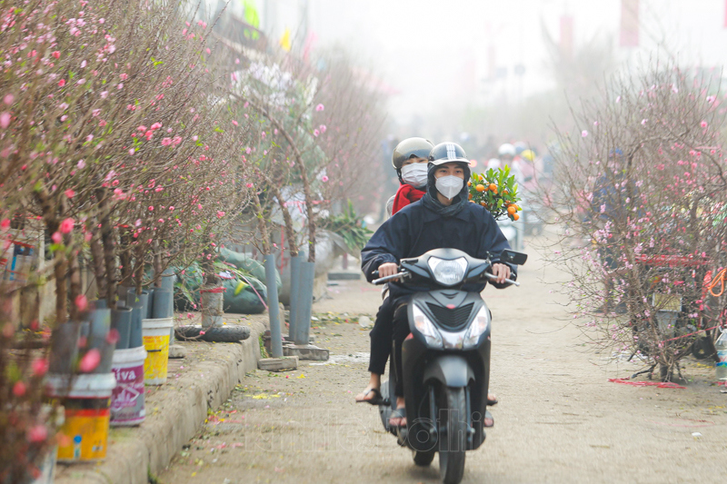 [Ảnh] Chợ hoa lớn nhất Hà Nội nhộn nhịp trước thềm Tết Nguyên đán 2021 - Ảnh 4