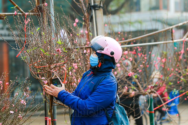 [Ảnh] Chợ hoa lớn nhất Hà Nội nhộn nhịp trước thềm Tết Nguyên đán 2021 - Ảnh 5