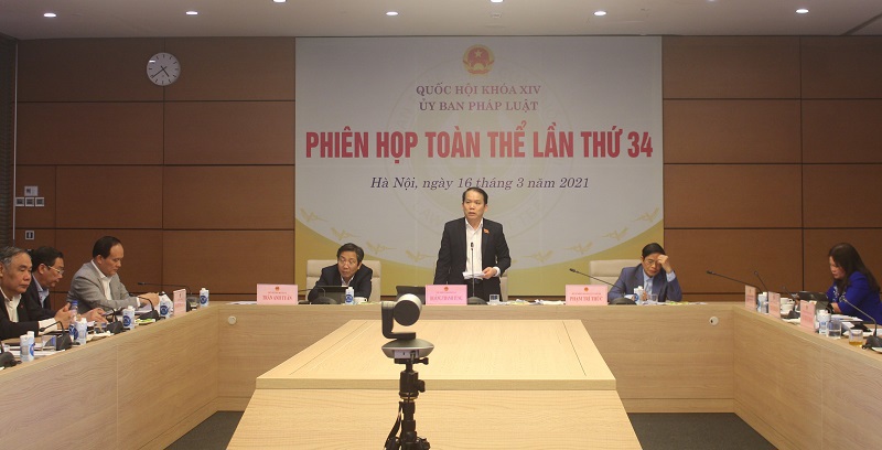 Nhất trí với Tờ trình của Chính phủ về tăng số lượng đại biểu chuyên trách của HĐND TP Hà Nội - Ảnh 1