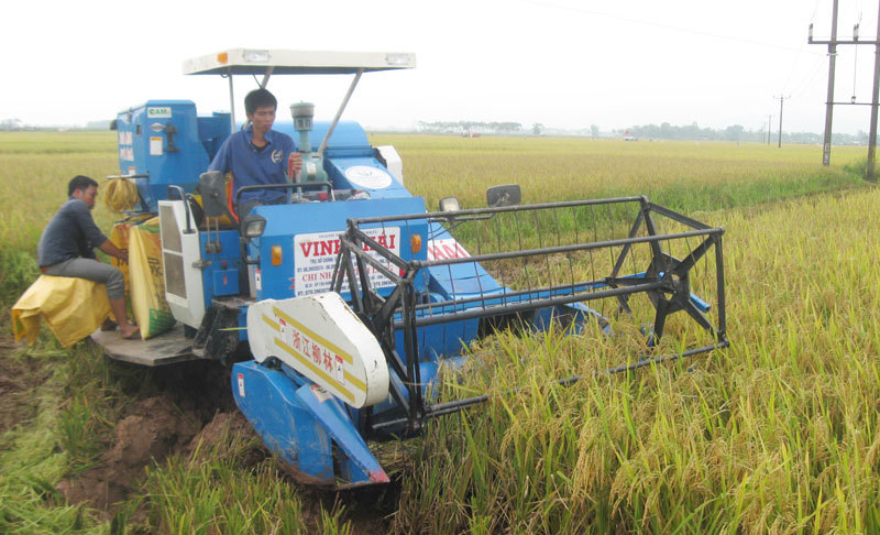 Cơ giới hóa nông nghiệp tại Hà Nội: Nền móng vững chắc cho sản xuất hàng hóa - Ảnh 1