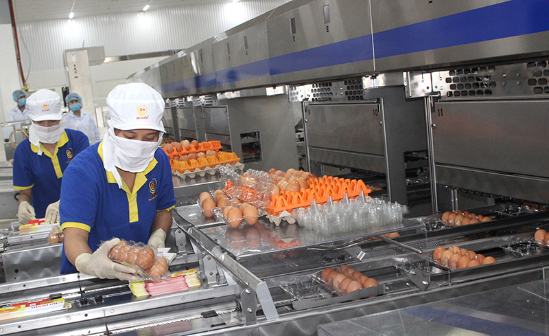 Khánh thành nhà máy xử lý trứng gia cầm công nghệ cao tại Hà Nội - Ảnh 3