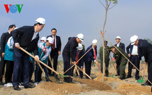 Chủ tịch nước phát động Tết trồng cây 2017 tại Quảng Ninh - Ảnh 2