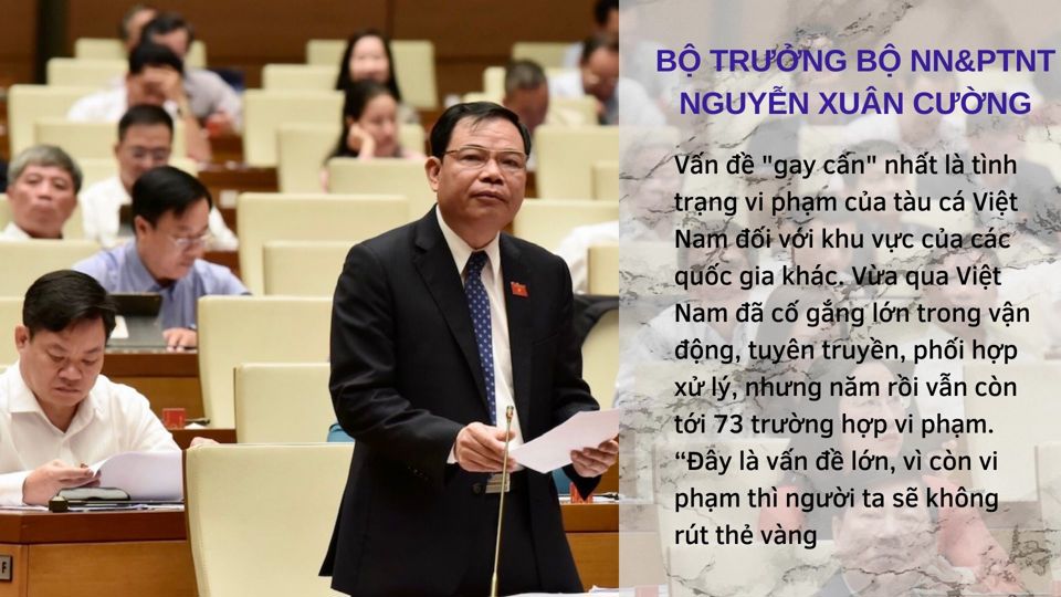 Chất vấn tại Quốc hội: Khi nào thủy sản Việt Nam gỡ được thẻ vàng EU? - Ảnh 1