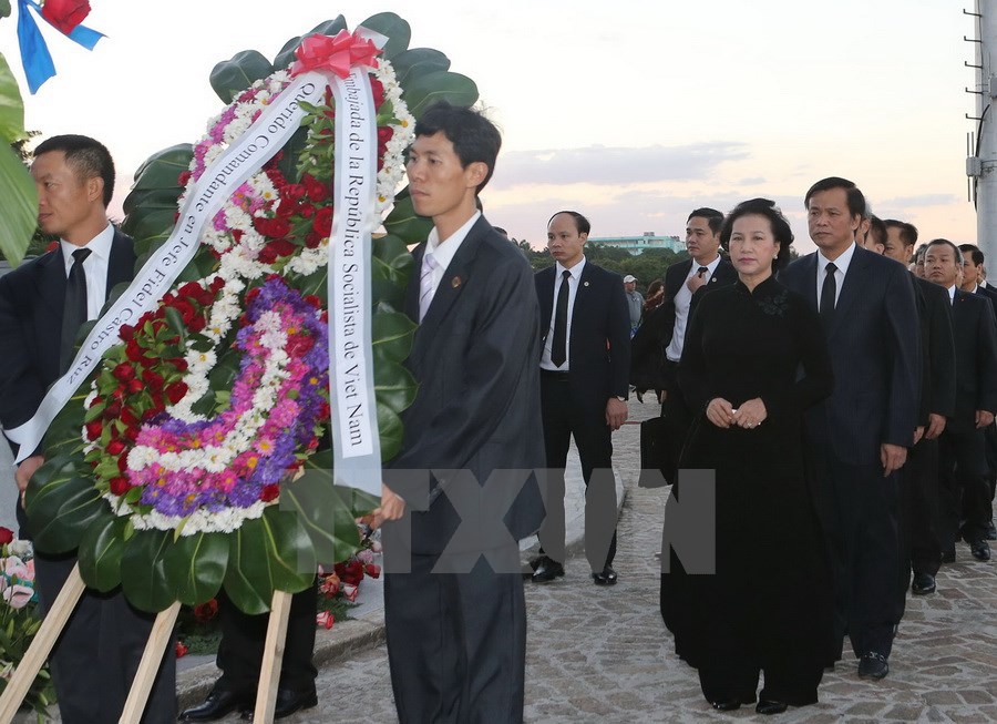 Hình ảnh đoàn đại biểu Việt Nam viếng lãnh tụ Cuba Fidel Castro - Ảnh 2