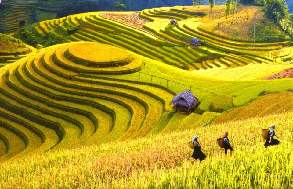 Việt Nam là 1 trong 10 điểm du lịch đáng đến nhất năm 2017 - Ảnh 2
