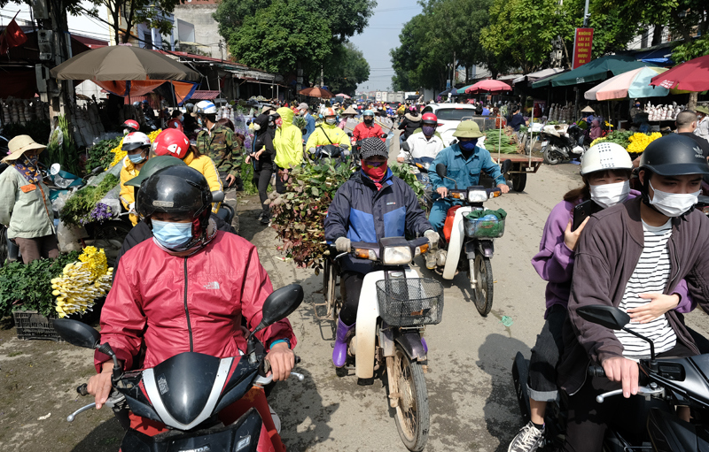 Làng hoa Mê Linh nhộn nhịp trở lại những ngày cận Tết - Ảnh 4